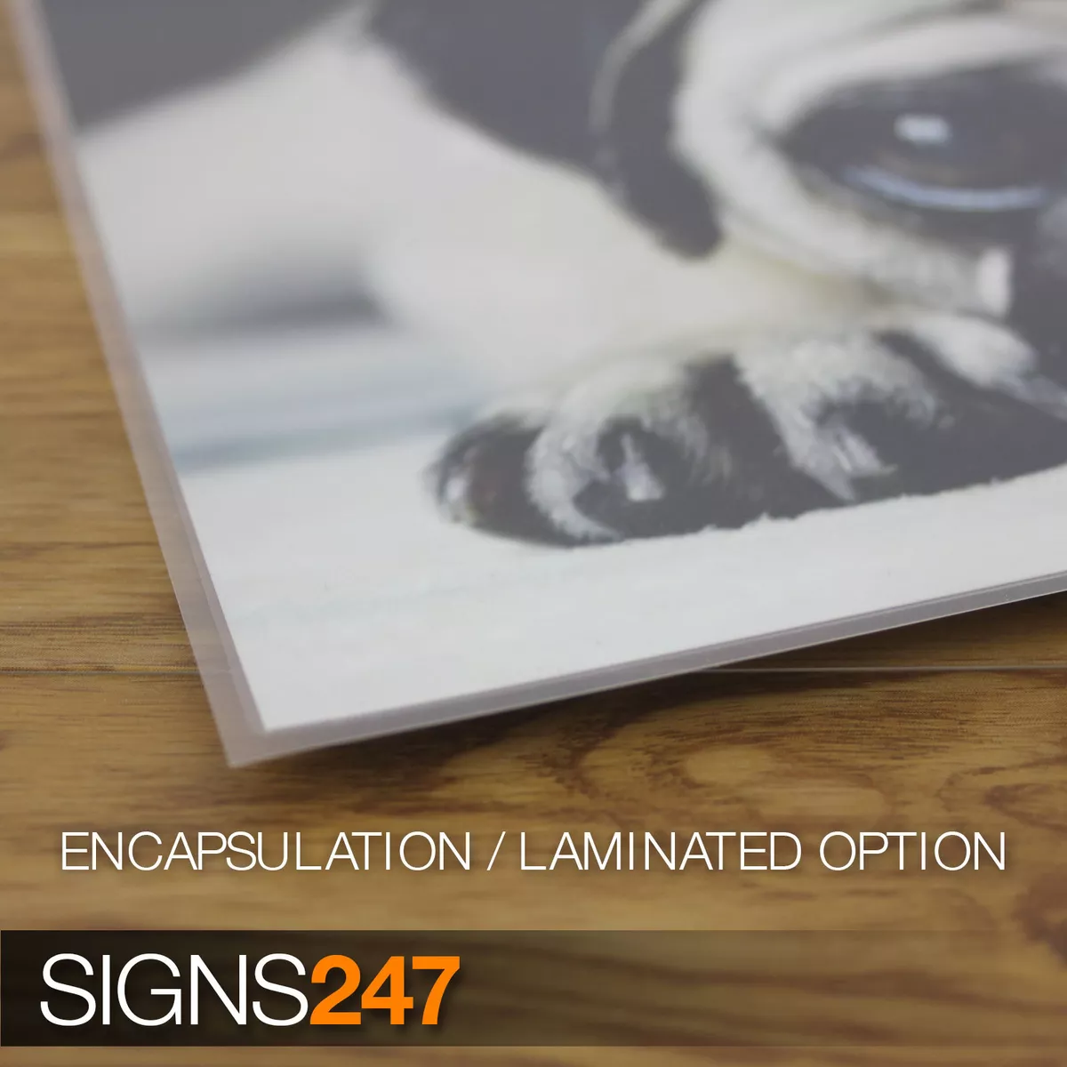 Laminated posters deals