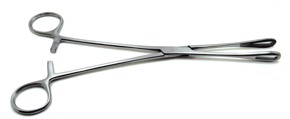 10 Piezas Pinzas Quirúrgicas Clemetson 9.5" Instrumentos Veterinarios de Acero Inoxidable Foto 4 de 4