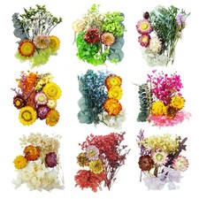 TooGet Dried Flowers 9 Bags Mixed Color Natural Real Dried Flowers Leaves for...