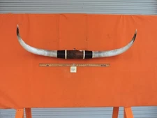 MOUNTED STEER BULL HORNS 4' 3" tip-tip COW BULL HORN LONGHORN 989
