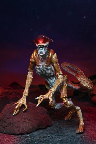 Aliens Action Figure Panther Alien (Kenner Tribute) 23 cm NECA in STOCK - Foto 7 di 11