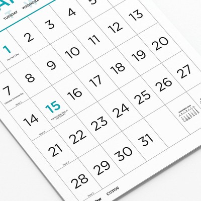 Blueline 2024 Monthly Wall Calendar Large Print 12 Months January to  December | eBay