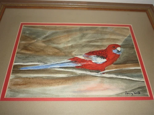 VINTAGE AUSTRALIAN WATERCOLOUR OFA  ROSELLA SIGNED JENNY WEBB - Picture 4 of 5