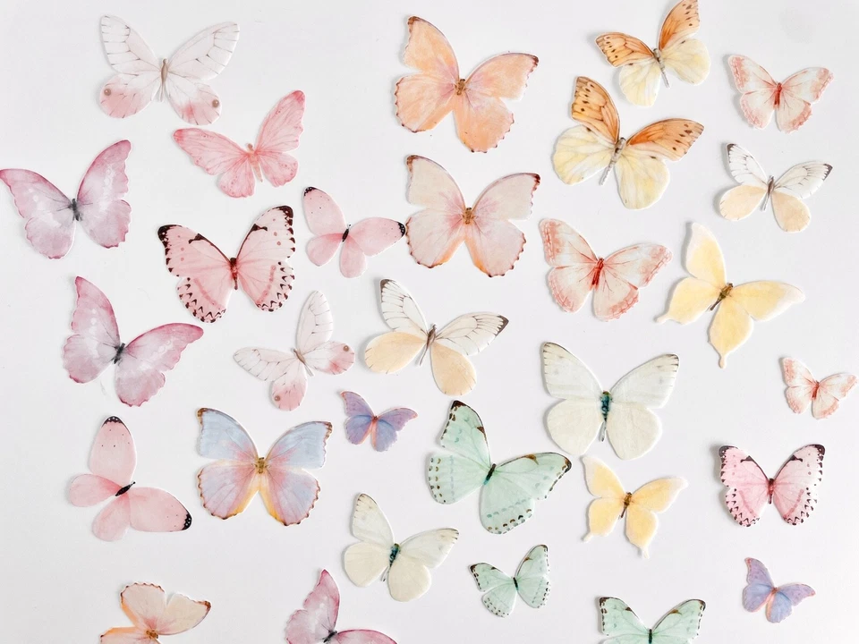 Pack de 32, 3-5cm Comestibles Precortados Oblea Mariposa - Pastel Arco Iris Mariposa Foto 2 de 4