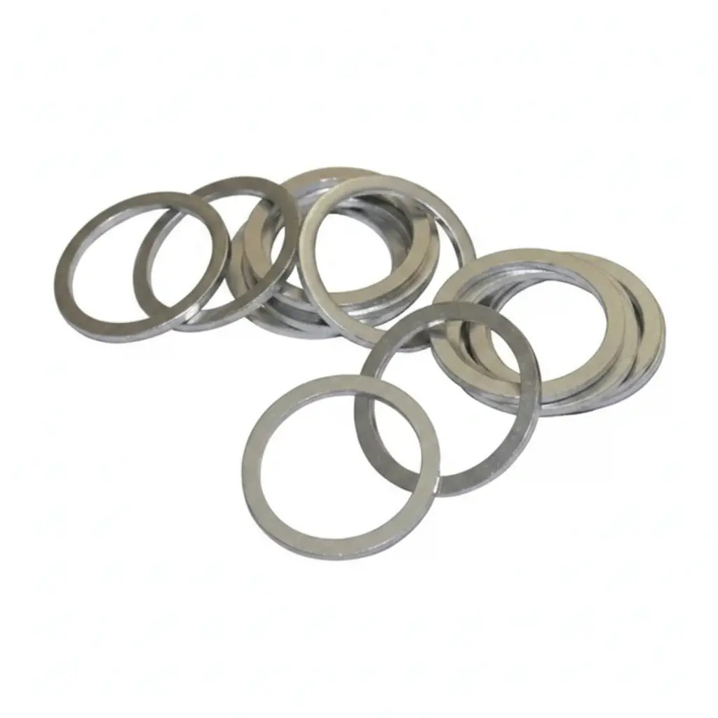 FA1 818.760.010 Anello di tenuta - Immagine 2