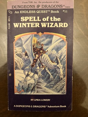 Spell of the Winter Wizard Dungeons & Dragons Endless Quest Book 11 TSR 1983 1st
