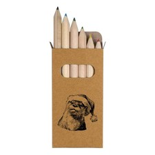 6 x 'Otter Wearing Santa Hat' Short Colour Pencils PE00086210