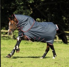 Horse ware  Amigo Bravo 12 Plus Medium Turnout