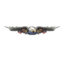 Aufkleber Adler USA XL 89 X 14 Cm – Eagle Strike Decal
