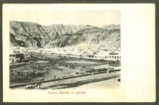Panorama Camel Market Aden Settlement postcard 1910s