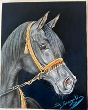 Ölgemälde,ölbild eines arabischen Pferdes . auf Leinwand.Handgemalt Unikat