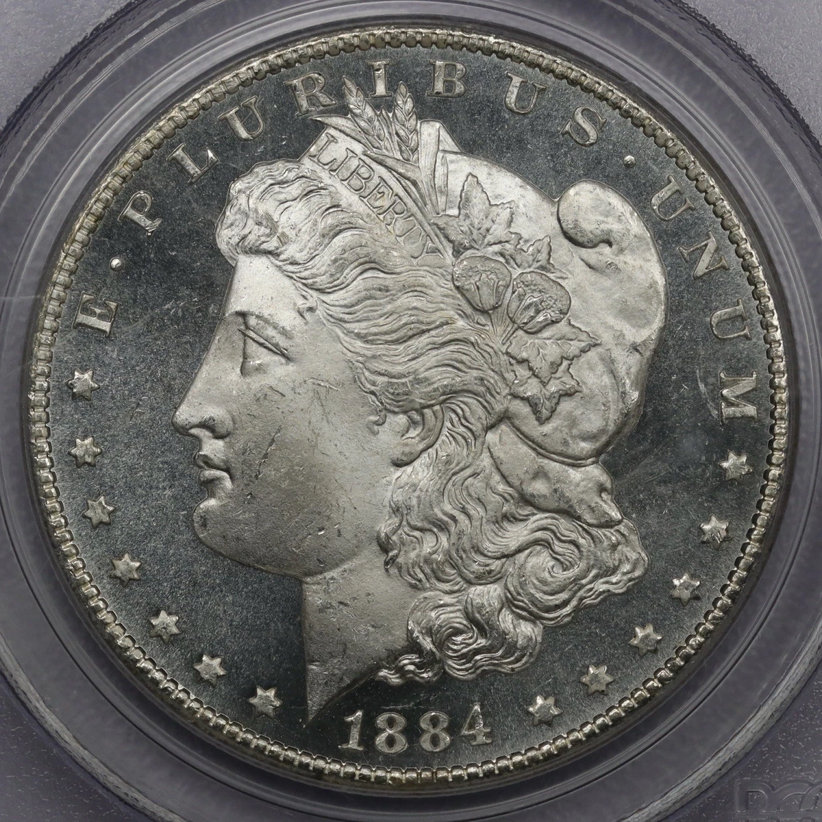 Carson City Grade MS 64 1884 Year Morgan US Dollars (1878-1921