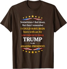 Sometimes I Feel Down But Then I Remember Funny Unisex T-Shirt