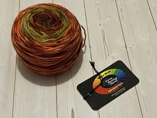 Done Roving Yarns Frolicking Feet Transitions yarn Octoberfest color #4 Merino