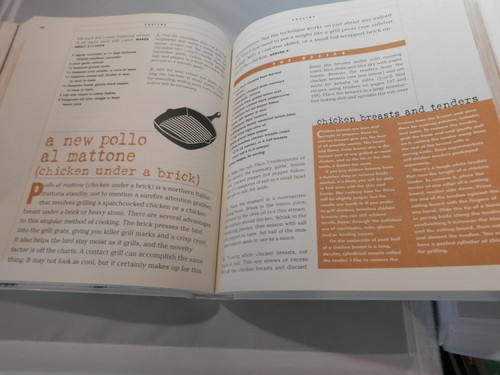STEVEN RAICHLEN'S INDOOR GRILLING BOOK, 2004, USE FOR GRILLING MACHINES, ETC. - Picture 2 of 3