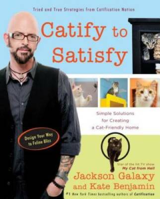 Catify to Satisfy: Simple Solutions for Creating a Cat-Friendly Home - GOOD