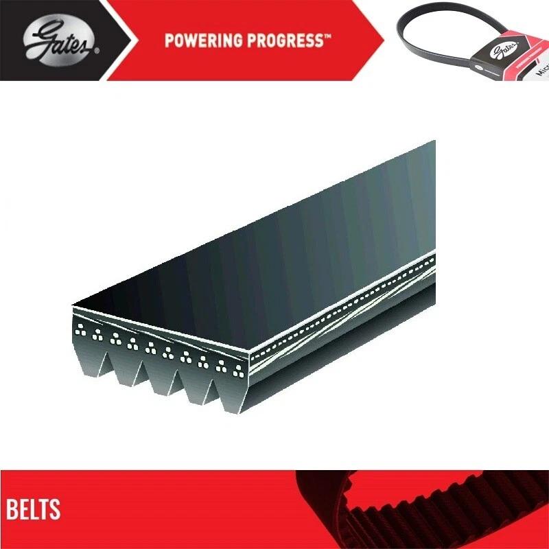 Gates A/C Belt For 2000-2003 BMW M5 V8-5.0L Foto 2 de 4