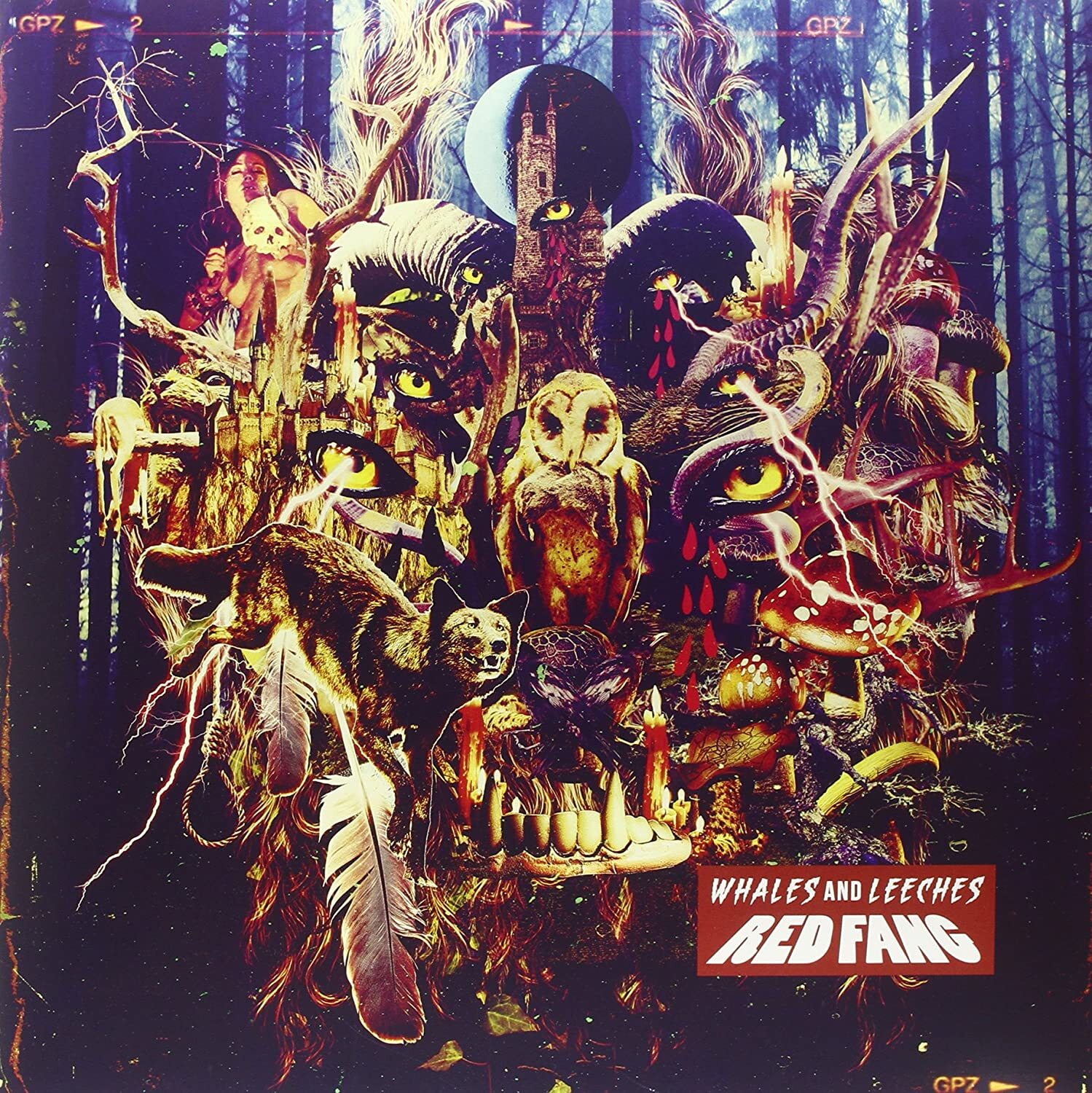 Киты и пиявки [ВИНИЛ]