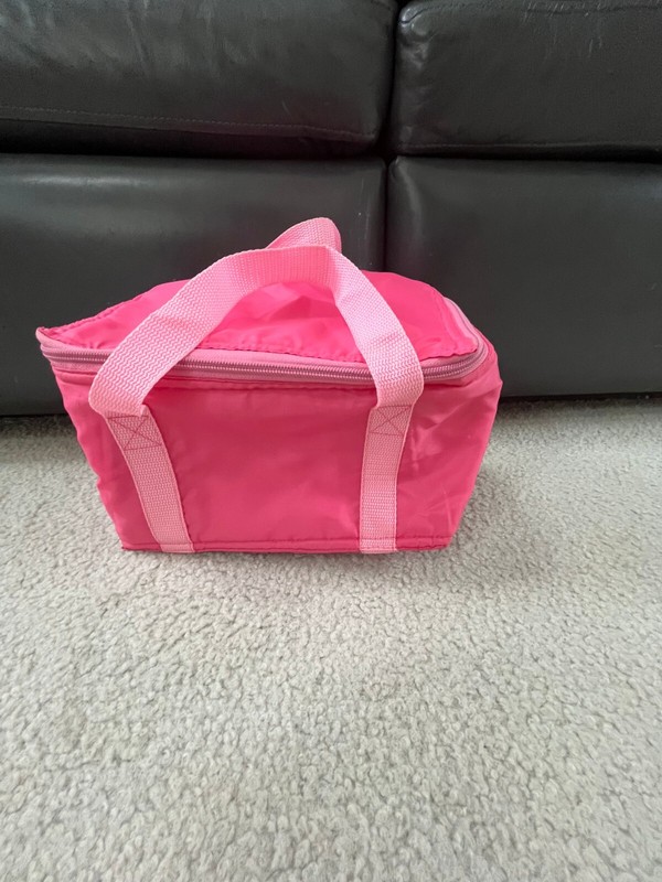 Pink Insulated Small Lunch Bag