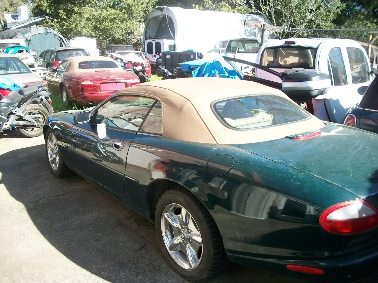 1997 Jaguar XK8 for sale in Sonoma California