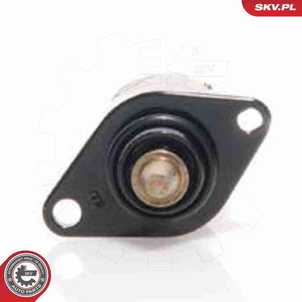 Esen SKV Leerlaufregelventil Luftversorgung 08SKV004 FüR Astra Combo Corsa CC TR-image