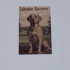 Labrador Retriever Dog Sticker Cute Animal Art Decal Novelty Painting Style Tc9