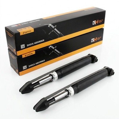 2x Stoßdämpfer Gasdruck Hinten für BMW 5er E39 Touring