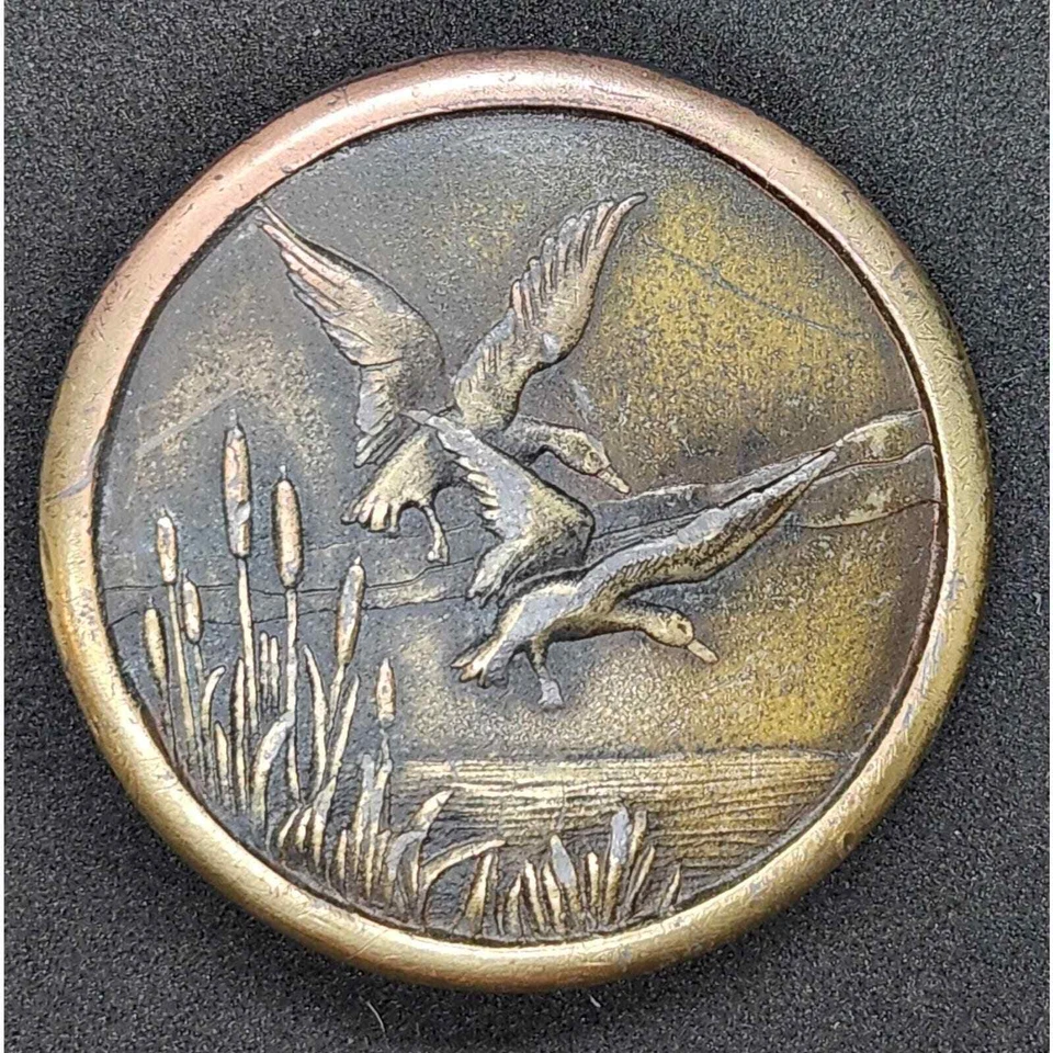 Hebillas de cinturón vintage - Juego de 3 Foto 2 de 4