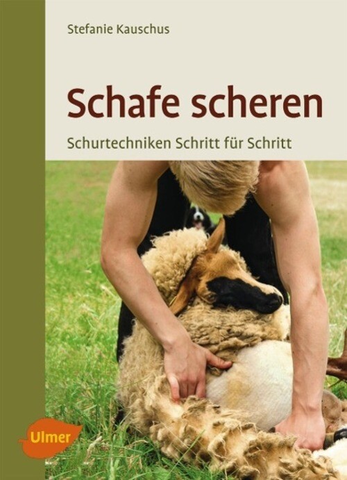 Thumbnail - Schafe Scheren | Stefanie Kauschus | Schur-techniken Schritt Für