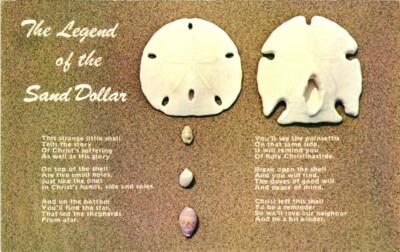 The Legend Of The Sand Dollar Postcard Ebay