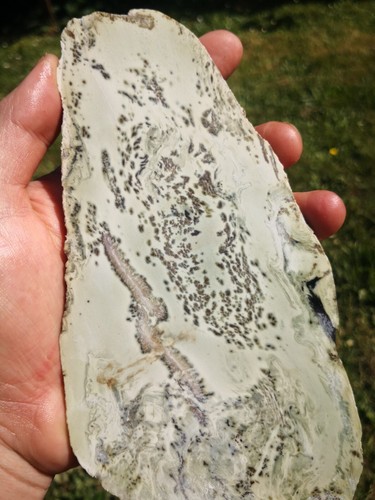 Pounamu Greenstone Nephrite Jade Dendritic Kokopu lapidary VERY RARE Natural - Picture 6 of 18