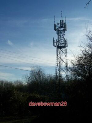 FOTO MOBILFUNKTURM AUF LEUCHTFEUERHÜGEL PLAUDERN IM LEUCHTFEUERHÜGEL WALD.TA