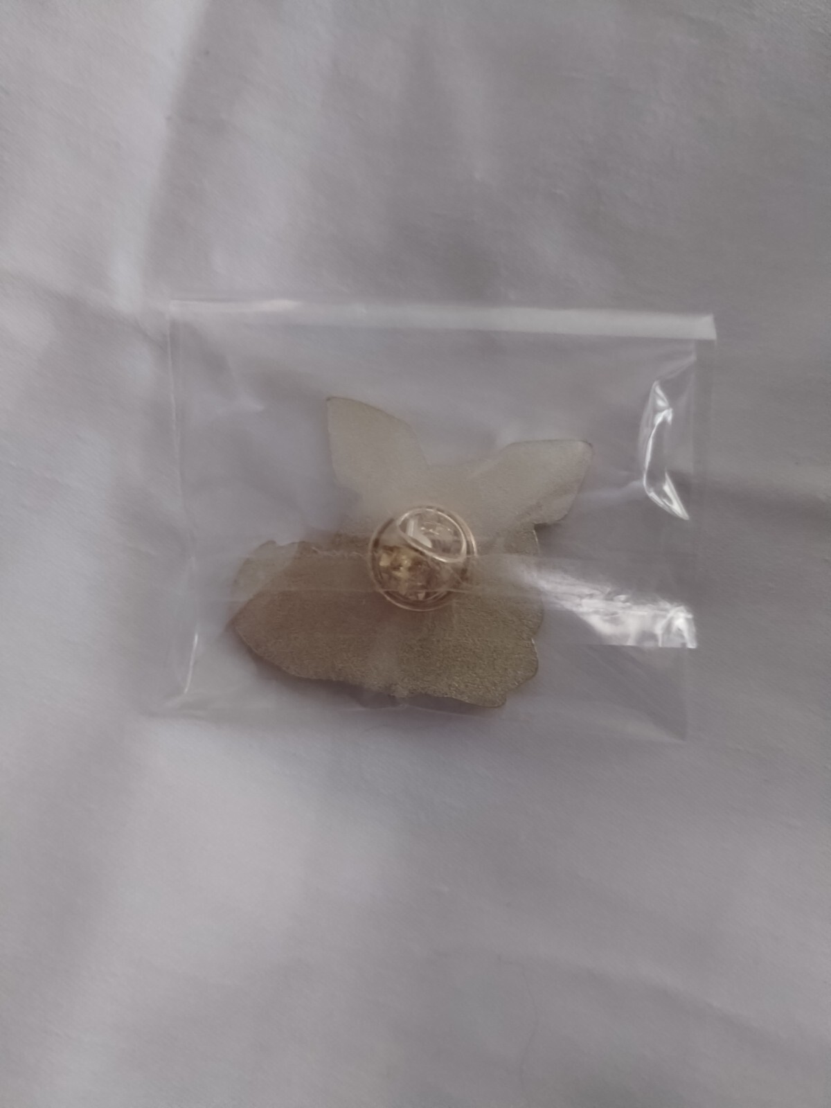Picture 6 of 6