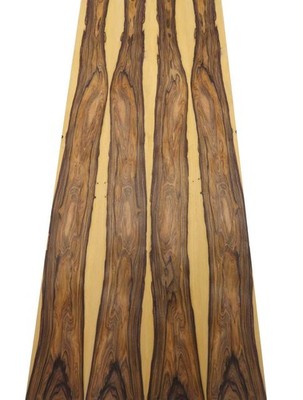 Santos Palisander Holzfurnier Rosewood 216x20,5-22cm 2 Blätter