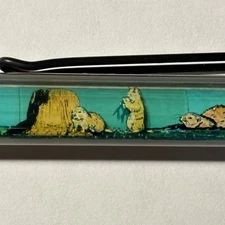 Devils Tower Wyoming Floaty Pen Nation's First National Monument Prairie Dogs