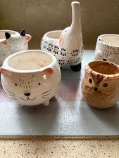 5 animal themed succulent plant pots indoors ceramic
