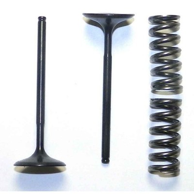 OEM Grade Intake Valve 2010-2017 Honda CRF250R Steel Kit 249cc Dirt Bike MX