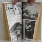 Foto 5 di 84