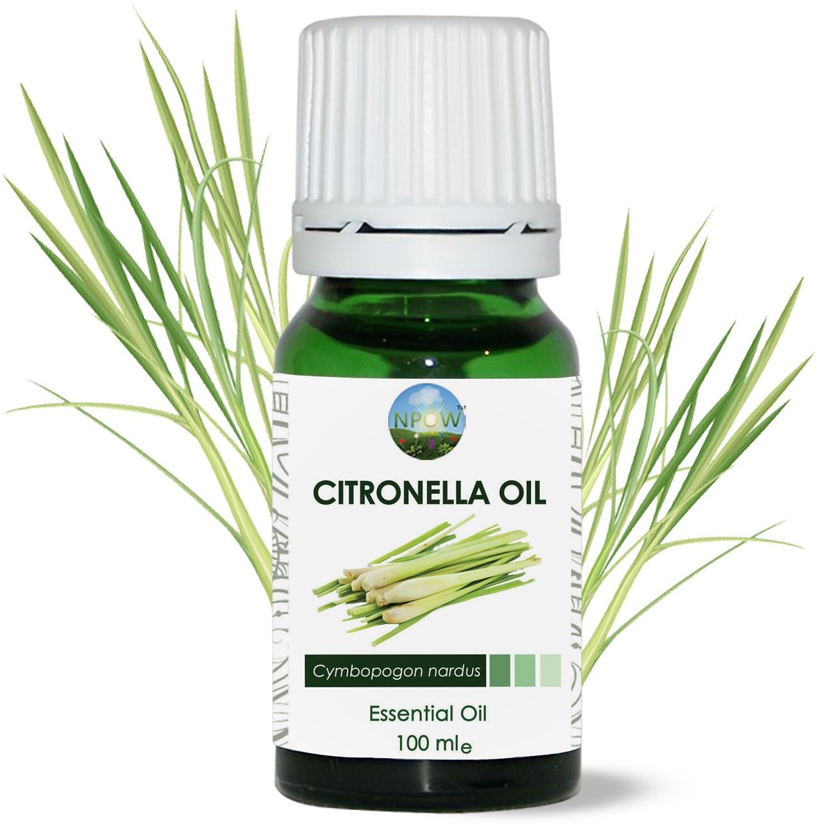 Citronella Plant Oil