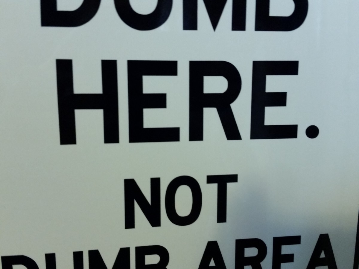 Handmade Do Not Dumb Here Funny Sign | eBay
