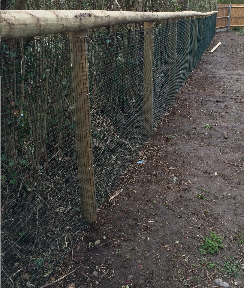 4FT PVC WELDED FENCE MESH 1' X 1' Wire Net 25m 1.2m Netting 17 Gauge Garden - Image 2 of 4