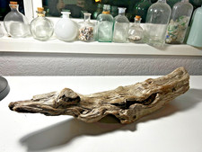 driftwood decor home or aquarium taxidermy light color fresh unique wood piece