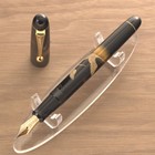 Pilot Urushi Pen for sale | eBay