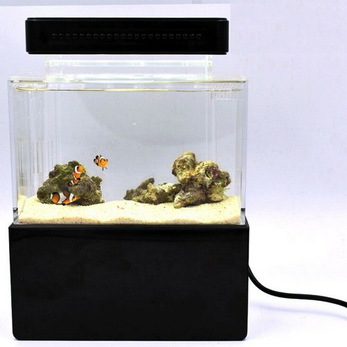 1L Mini Aquarium Komplett set Dekoration mit LED Beleuchtung Pumpe & Filter - Bild 19 von 24