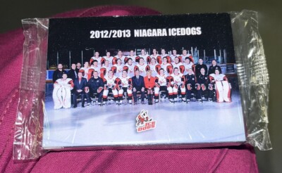 2012-2013 Niagara Ice Dogs OHL Team Card Set NHL  Ontario Hockey League