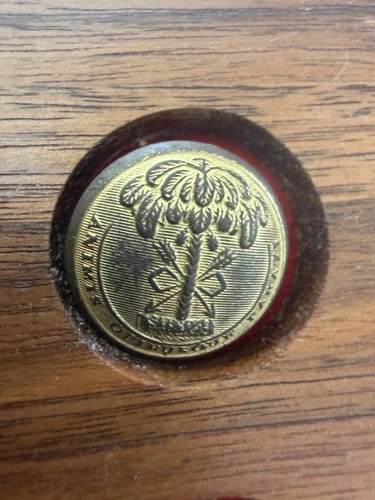 South Carolina civil war button, Original, Schuyler BM, coat size button