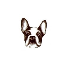 Dog Tattoo French Bulldog Animal Temporary Fake Sticekr Kids Adults Boys Girls