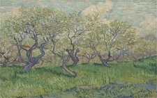Hand-painted Oil Painting Vincent van Gogh Orchard in Blossom 