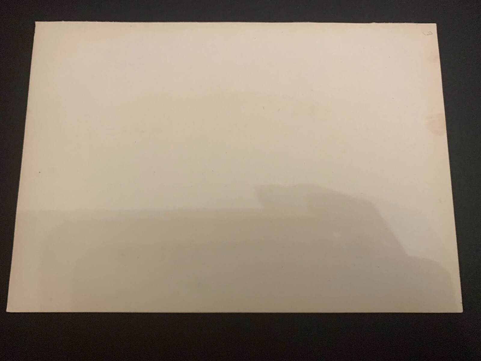 Vintage c.1910 Fundulus Dispar Chromolithograph Bookplate Fish Print