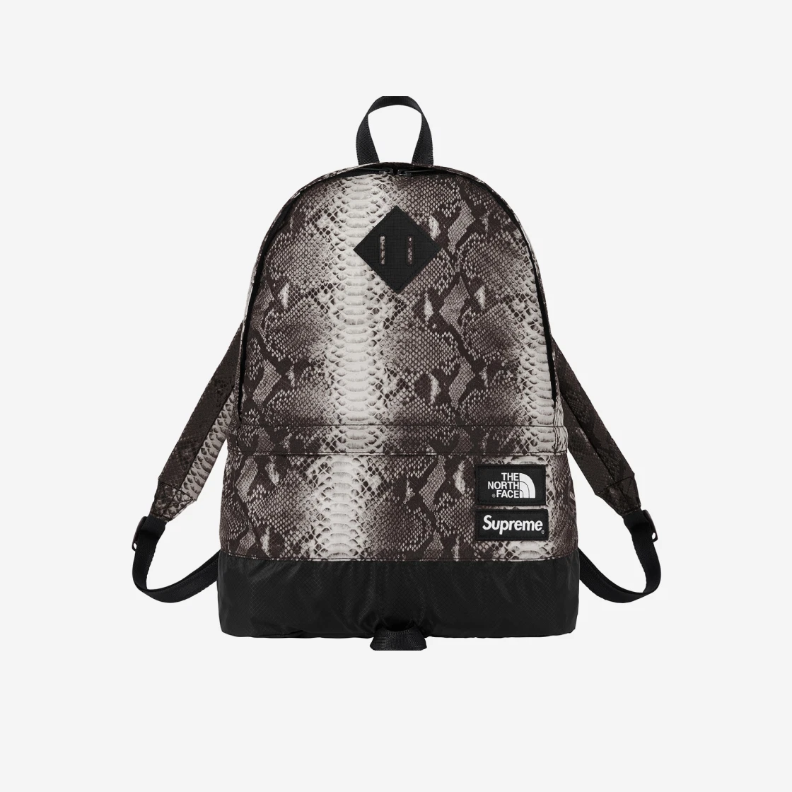 Supreme x The North Face Snakeskin Lightweight Day Pack Black 18SS NF0A3KVJ8WY